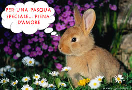 Coniglio Pasqua